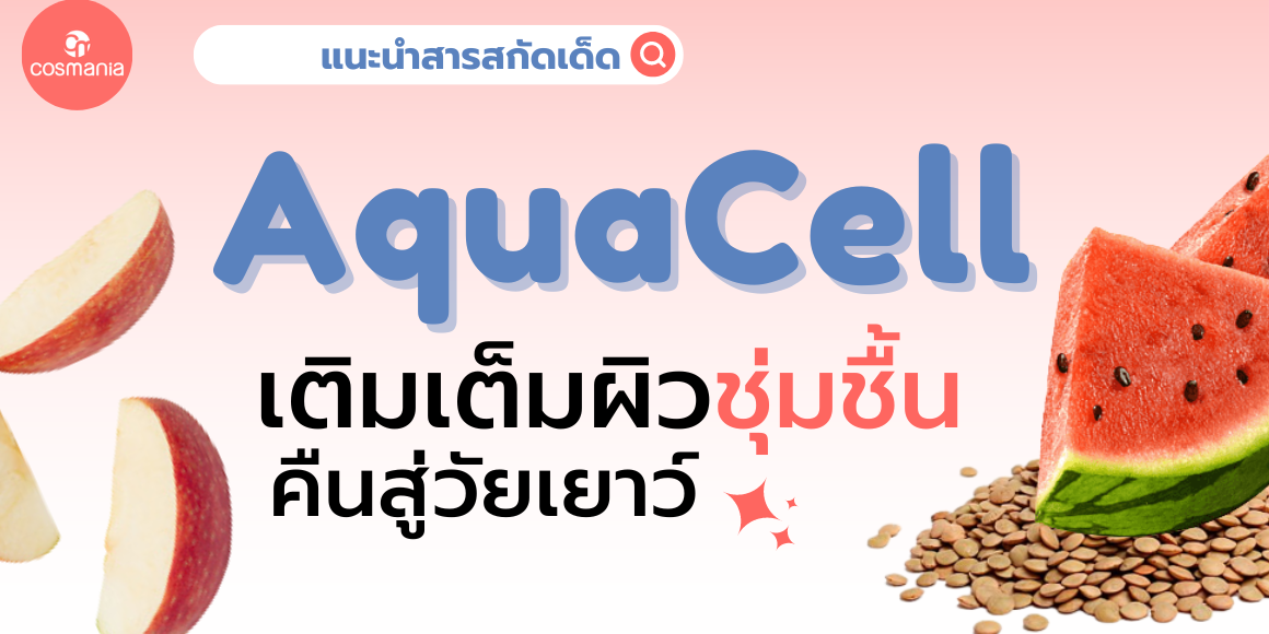 หน้าปกบทความ